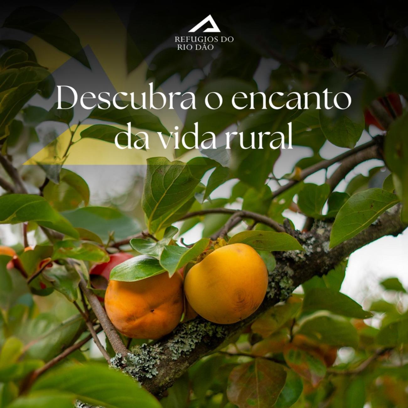 Holiday home Refugios Do Rio Dao